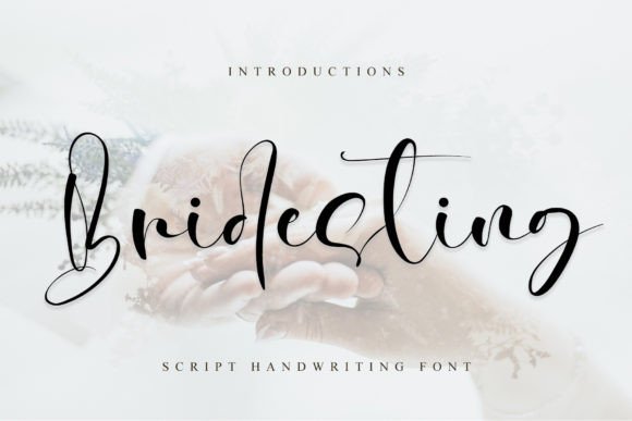 Bridesting Font: Adding Warmth to Small Business Branding