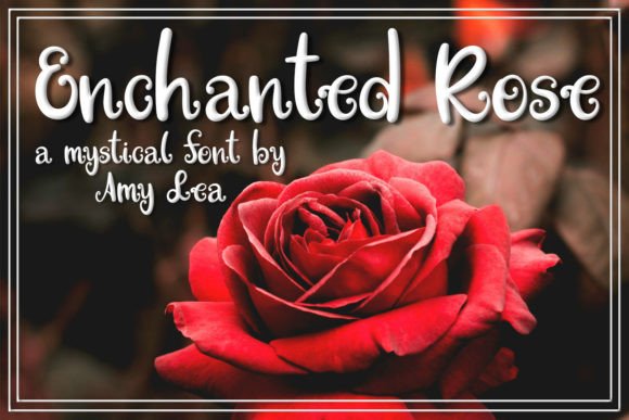 Enchanted Rose Font: A Web Designer’s Layout Review