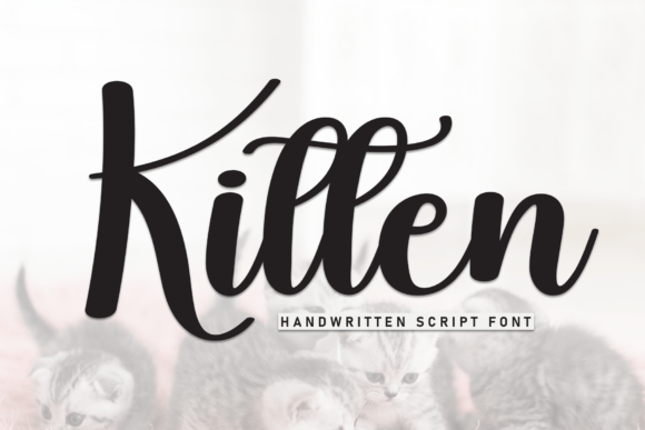 Kitten: A Designer’s Take on This Playful Script Font