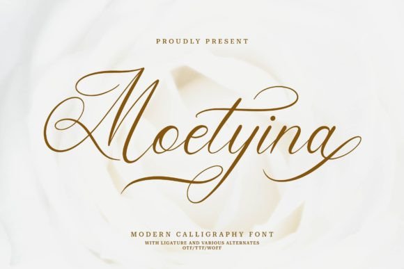 Moetyina Font: Elevating Small Business Branding