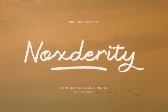 Noxderity: A Modern Script Font for Scroll-Stopping Marketing Design