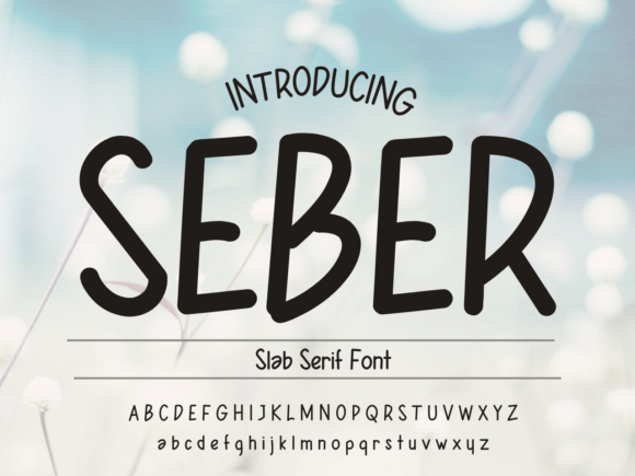 Seber Font Review: Adding Warmth to Web Design