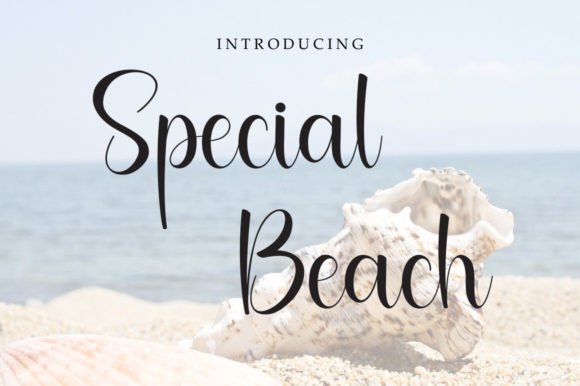 Special Beach Font: Elevating Campaign Visuals