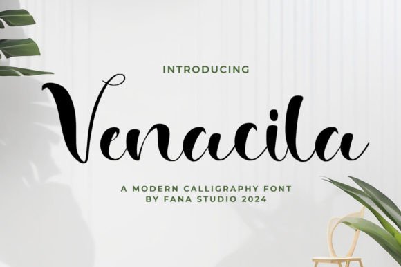 Venacila Font Review for Web Design and Branding
